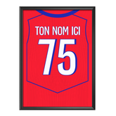 Cadre maillot Paris Third 2025/26